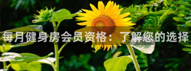 凯时AG登录入口官方版